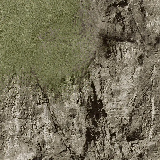 sfncn_rockgrass4