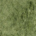 bow_church_grass_alt