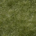 grassgrn256