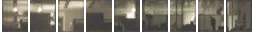 vgsn_nl_strip