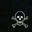 sillyhelmet3