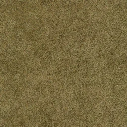 sl_sfngrass01