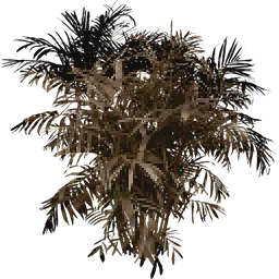 dead_fuzzy