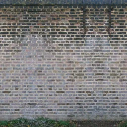 comptwall33