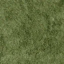 grassdeep256