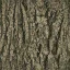 oakbark64