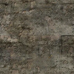 desgrns256