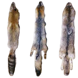 sw_pelts01