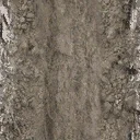 sw_rock1b