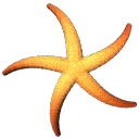 ab_aqua_starfish