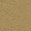 tr_floor1