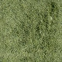 dt_bmx_grass