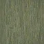 bthuja1