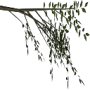 weeelm
