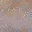 ceasertile01_lod