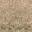 des_scrub1_dirt1_lod