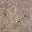 lod_church_dirt