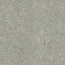 est_gen_stone