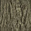 oakbark64