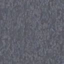 wh_carpet2