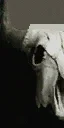 stekullvegas2