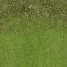 golf_fairway3