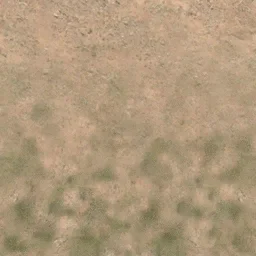 des_scrub1_dirt1