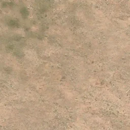 des_scrub1_dirt1b