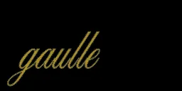 gaulle_3
