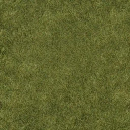 yardgrass1