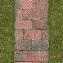 yardgrass2