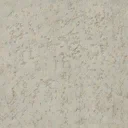 vgsclubwall08_256