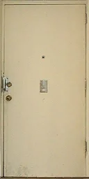 newlawdoor