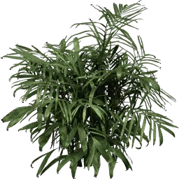 foliage256