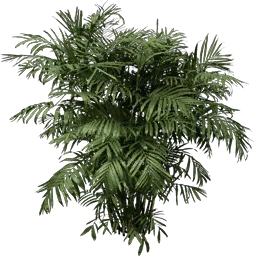 fuzzyplant256