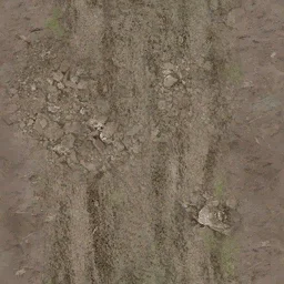 desmudtrail2