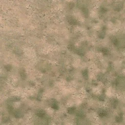 des_scrub1_dirt1a