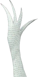 flmngosign01