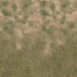 des_grass2scrub