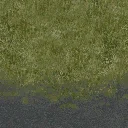 golf_hvygras_cpark