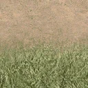 des_dirt1_grass