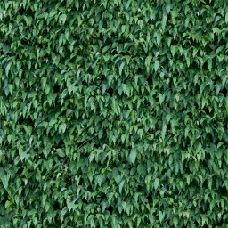 hedge2_256