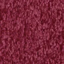 wh_carpet1