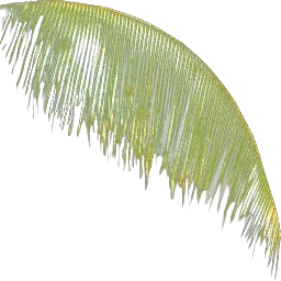 bdup2_plant