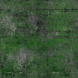 ws_algae_concrete