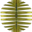 treepropleaf01